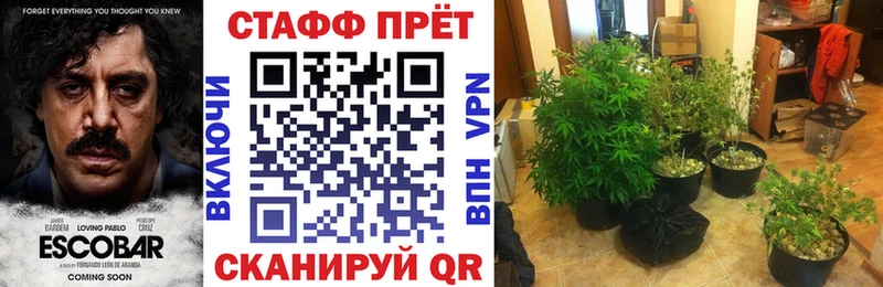 Где купить наркотики Арск Канабис Alpha-PVP Меф АМФЕТАМИН COCAIN