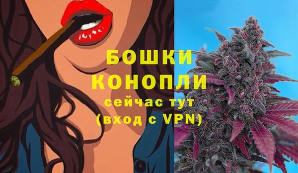 ECSTASY Михайлов