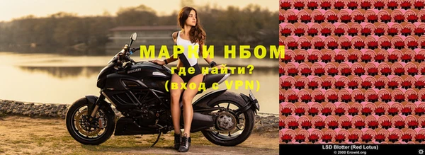 ECSTASY Михайлов
